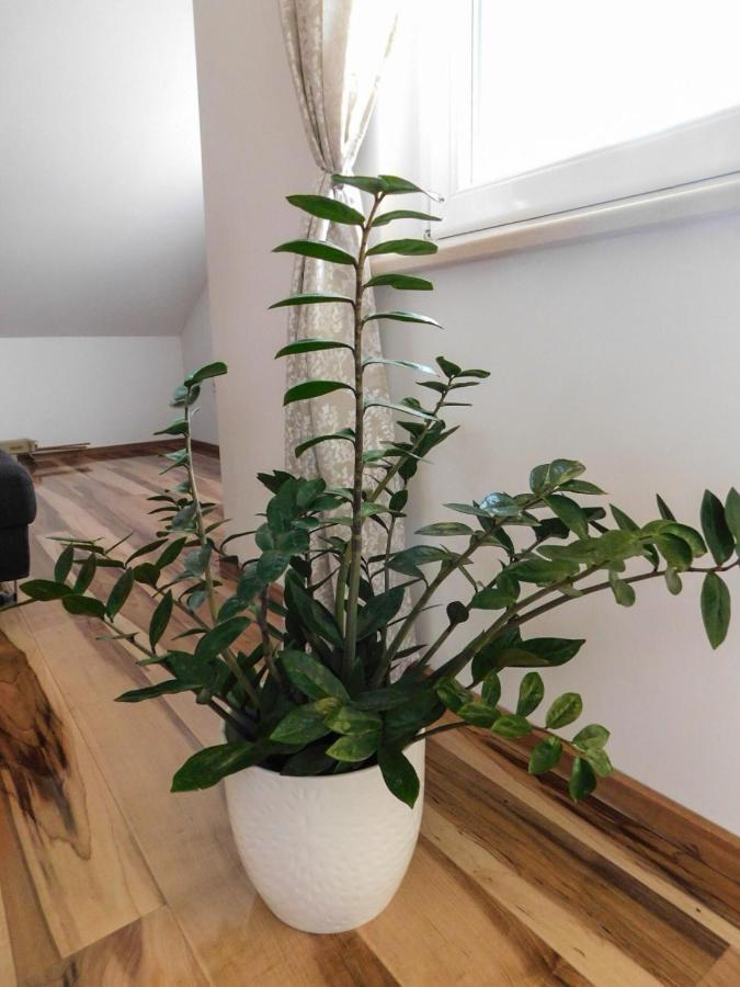 Apartman Lara オトチャッツ エクステリア 写真
